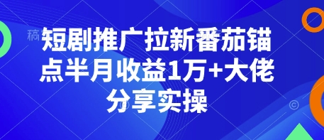 短剧推广拉新番茄锚点半月收益1万+大佬分享实操 - 冒泡网赚