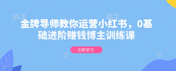金牌导师教你运营小红书，0基础进阶赚钱博主训练课 - 冒泡网赚