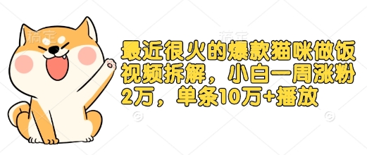 最近很火的爆款猫咪做饭视频拆解，小白一周涨粉2万，单条10万+播放(附保姆级教程) - 冒泡网赚