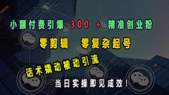 小额付费引爆 300 + 精准创业粉，零剪辑、零复杂起号，话术撬动被动引流，当日实操即见成效 - 冒泡网赚