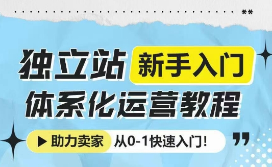 独立站新手入门体系化运营教程，助力独立站卖家从0-1快速入门! - 冒泡网赚