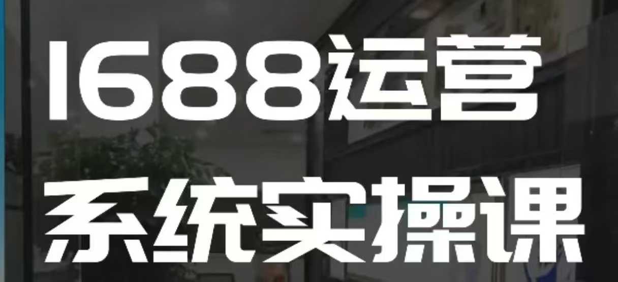1688高阶运营系统实操课，快速掌握1688店铺运营的核心玩法 - 冒泡网赚