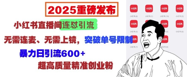 2025重磅发布：小红书直播间连怼引流，无需连麦、无需上镜，突破单号限制，暴力日引流600+ - 冒泡网赚
