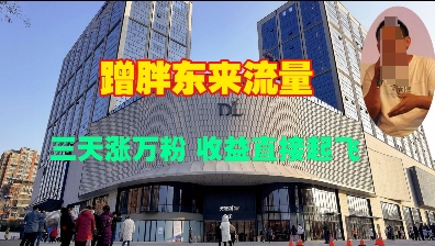 蹭胖东来流量，三天涨万粉，收益直接起飞 - 冒泡网赚