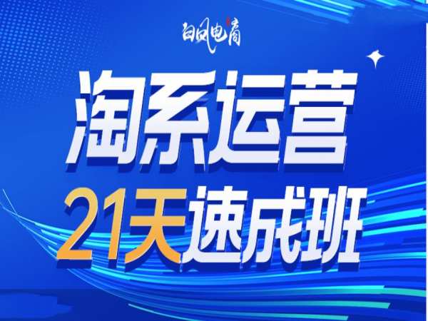 淘系运营21天速成班35期，年前最后一波和2025方向 - 冒泡网赚