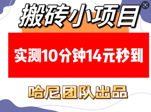 搬砖小项目，实测10分钟14元秒到，每天稳定几张(赠送必看稳定) - 冒泡网赚