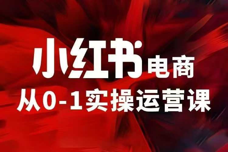 小红书电商运营，97节小红书vip内部课，带你实现小红书赚钱 - 冒泡网赚