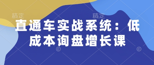 直通车实战系统：低成本询盘增长课，让个人通过技能实现升职加薪，让企业低成本获客，订单源源不断 - 冒泡网赚