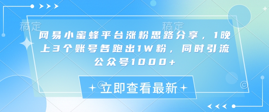 网易小蜜蜂平台涨粉思路分享，1晚上3个账号各跑出1W粉，同时引流公众号1000+ - 冒泡网赚