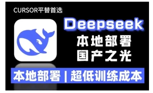 2025年deepseek R1 大型模型本地安装部署(文件+教程)本地部署，超低训练成本 - 冒泡网赚