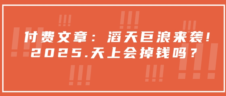 付费文章：滔天巨浪来袭！2025天上会掉钱吗？ - 冒泡网赚