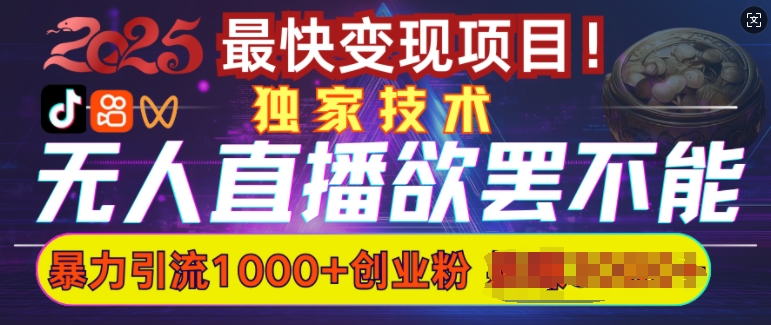 欲罢不能的无人直播引流，超暴力日引流1000+高质量精准创业粉 - 冒泡网赚