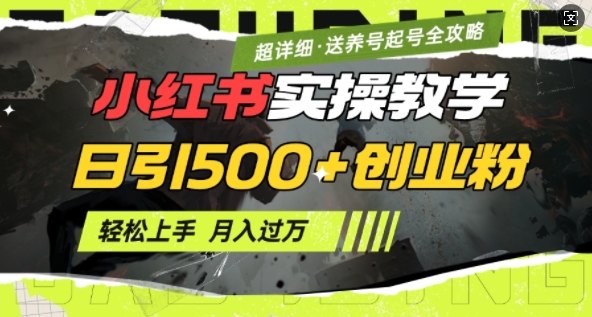 2月小红书最新日引500+创业粉实操教学【超详细】小白轻松上手，月入1W+，附小红书养号起号SOP - 冒泡网赚