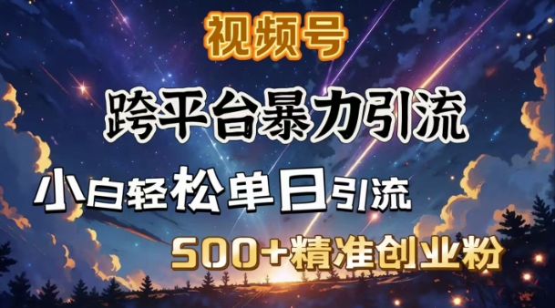 跨平台暴力引流，私域完美闭环，日引500+精准创业粉 - 冒泡网赚