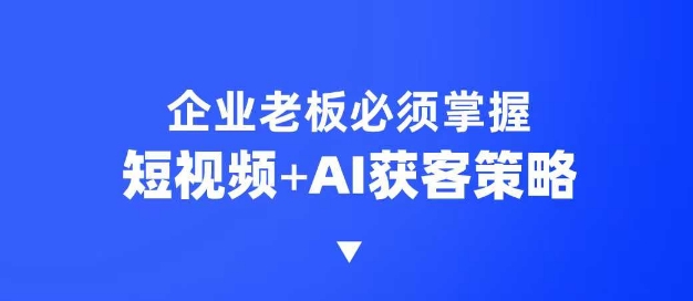 企业短视频AI获客霸屏流量课，6步短视频+AI突围法，3大霸屏抢客策略 - 冒泡网赚