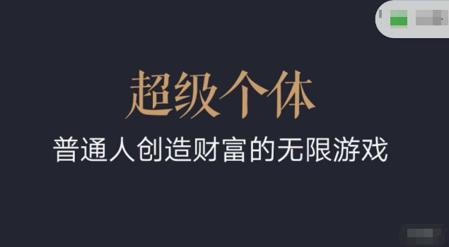 超级个体2024-2025翻盘指南，普通人创造财富的无限游戏 - 冒泡网赚