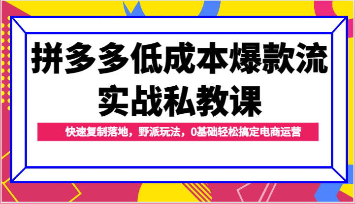 拼多多低成本爆款流实战私教课，快速复制落地，野派玩法，0基础轻松搞定电商运营 - 福缘创业网