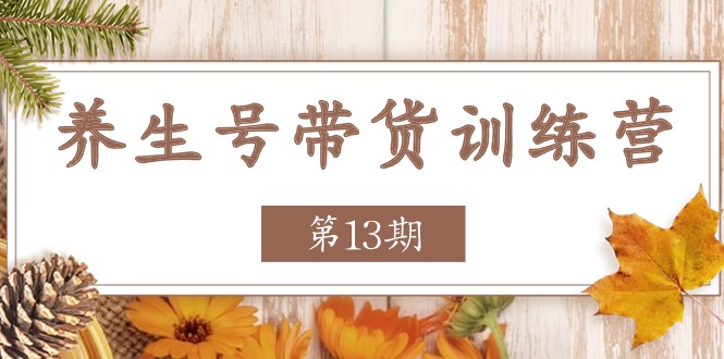 养生号带货训练营【第13期】收益更稳定的玩法，让你带货收益爆炸 - 福缘创业网