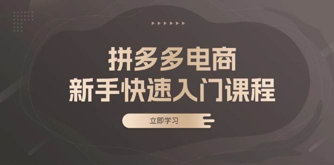 拼多多电商新手快速入门课程：涵盖基础、实战与选款，助力小白轻松上手 - 福缘创业网