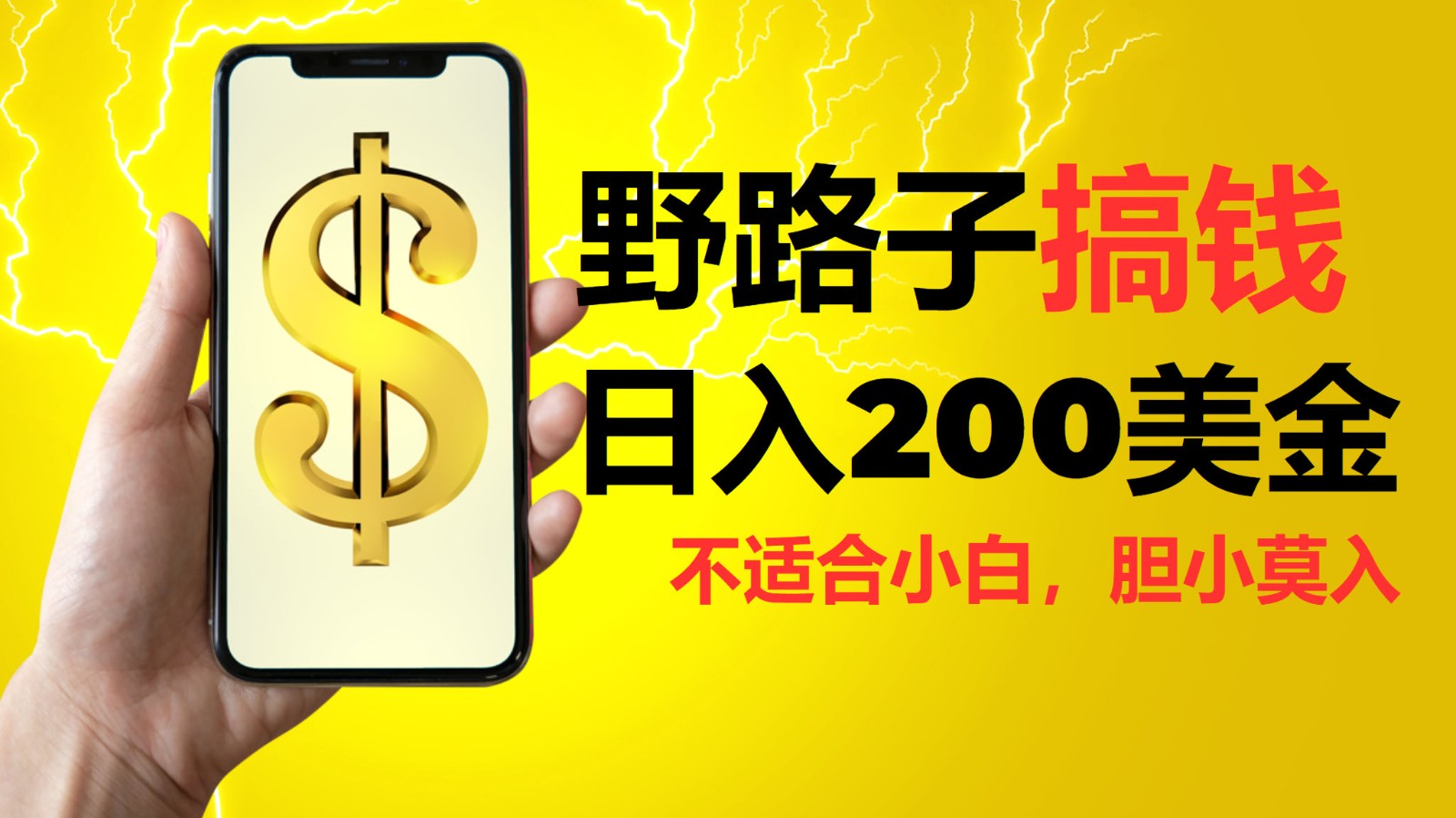 挂机野路子搞钱，日入200美金，路子很野，小白莫入 - 福缘创业网