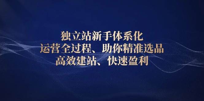 独立站新手体系化 运营全过程，助你精准选品、高效建站、快速盈利 - 福缘创业网