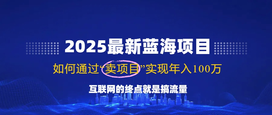 2025最新蓝海项目，零门槛轻松复制，月入10万+，新手也能操作！ - 中创网