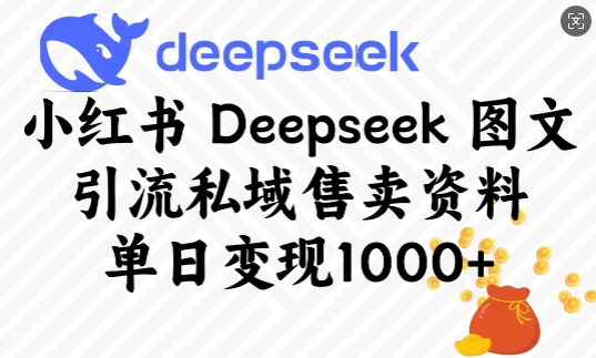 小红书Deepseek图文引流私域售卖资料，单日变现多张 - 冒泡网赚