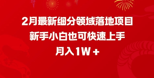 2月最新细分领域落地项目，新手小白也可快速上手，月入1W - 冒泡网赚