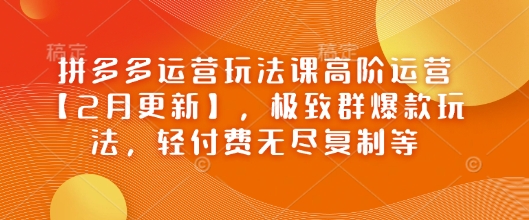 拼多多运营玩法课高阶运营【2月更新】，极致群爆款玩法，轻付费无尽复制等 - 冒泡网赚