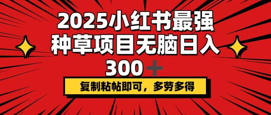2025小红书最强种草项目，无脑日入300+，复制粘帖即可，多劳多得 - 中创网