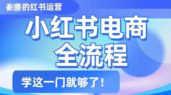 小红书电商全流程，精简易懂，从入门到精通，学这一门就够了 - 冒泡网赚