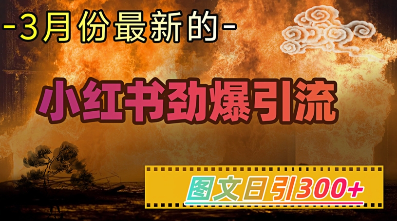 小红书超劲爆引流手段，图文日引300+轻松变现1W - 冒泡网赚