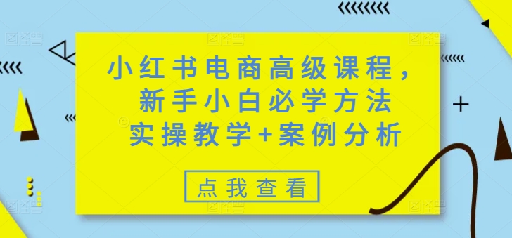 小红书电商高级课程，新手小白必学方法，实操教学+案例分析 - 冒泡网赚