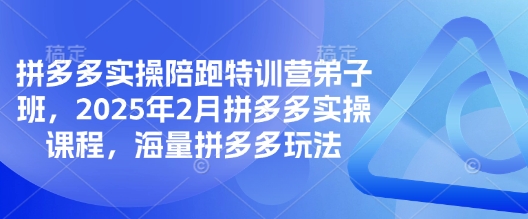 拼多多实操陪跑特训营弟子班，2025年2月拼多多实操课程，海量拼多多玩法 - 冒泡网赚