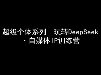 超级个体系列，玩转DeepSeek·自媒体IP训练营，deepseek教程 - 冒泡网赚