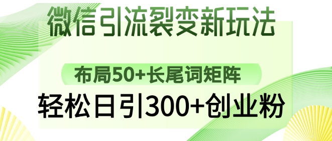 微信引流裂变新玩法：布局50+长尾词矩阵，轻松日引300+创业粉 - 冒泡网赚