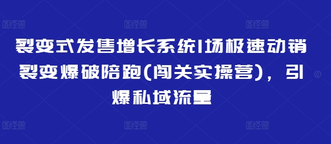 裂变式发售增长系统1场极速动销裂变爆破陪跑(闯关实操营)，引爆私域流量 - 冒泡网赚