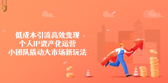 低成本引流高效变现，个人IP资产化运营，小团队撬动大市场新玩法 - 中创网