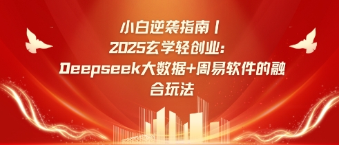 小白逆袭指南，2025玄学轻创业：Deepseek大数据+周易算法的融合玩法 - 冒泡网赚