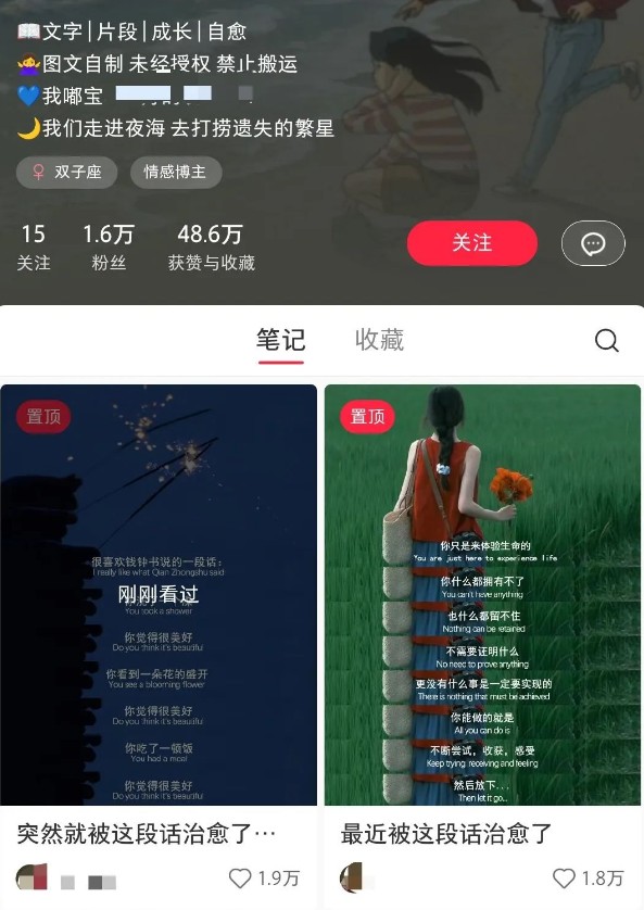小红书治愈文案图文笔记，零门槛，一分钟制作轻松制作爆款作品月入万元 - 福缘创业网