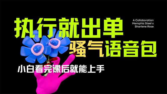 爆火全网的开车导航骚气语音包,只要执行就出单，小白看完课程就能实操... - 中创网