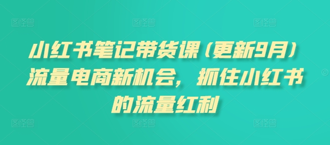 小红书笔记带货课(更新25年3月)流量电商新机会，抓住小红书的流量红利 - 冒泡网赚