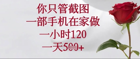 你只管截图，一部手机在家操作，一小时120.一天5张 - 冒泡网赚