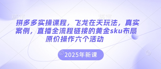 拼多多实操课程，飞龙在天玩法，真实案例，直播全流程链接的黄金sku布局原价操作六个活动 - 冒泡网赚