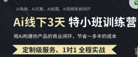 AI实操培训第20-21期线下，0基础保姆级教程，3月最新整理，企业获客、降本增效、打造超级个体 - 冒泡网赚