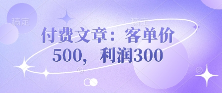 付费文章：客单价500，利润300 - 冒泡网赚