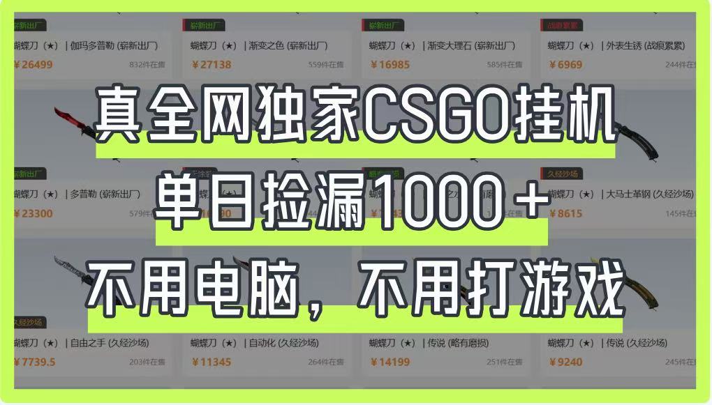 真全网独家CSGO挂机，单日捡漏1000+，不用电脑，不用养号 - 福缘创业网