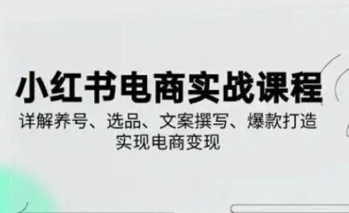 小红书从0-1实操课(2023-2025)，详解养号、选品、文案撰写、爆款打造实现电商变现 - 冒泡网赚