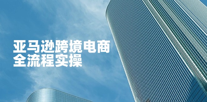 亚马逊跨境电商全流程实操，教你从零开始，掌握店铺运营与广告技巧 - 中创网