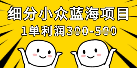 细分小众蓝海项目，一单利润3张，每月收入稳定过1w+ - 冒泡网赚